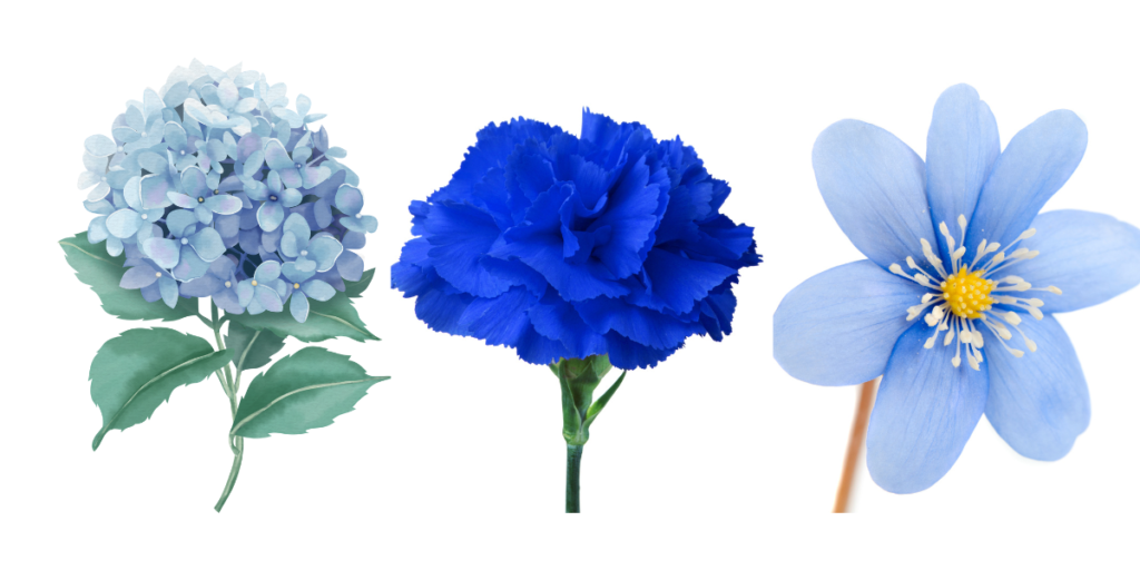 Blue Flower