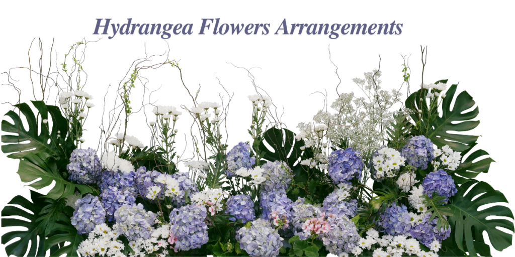 Hydrangea Flowers arrangements
